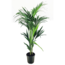 Kentiapalme - Stueplante - ø24cm - Højde 130-140cm
