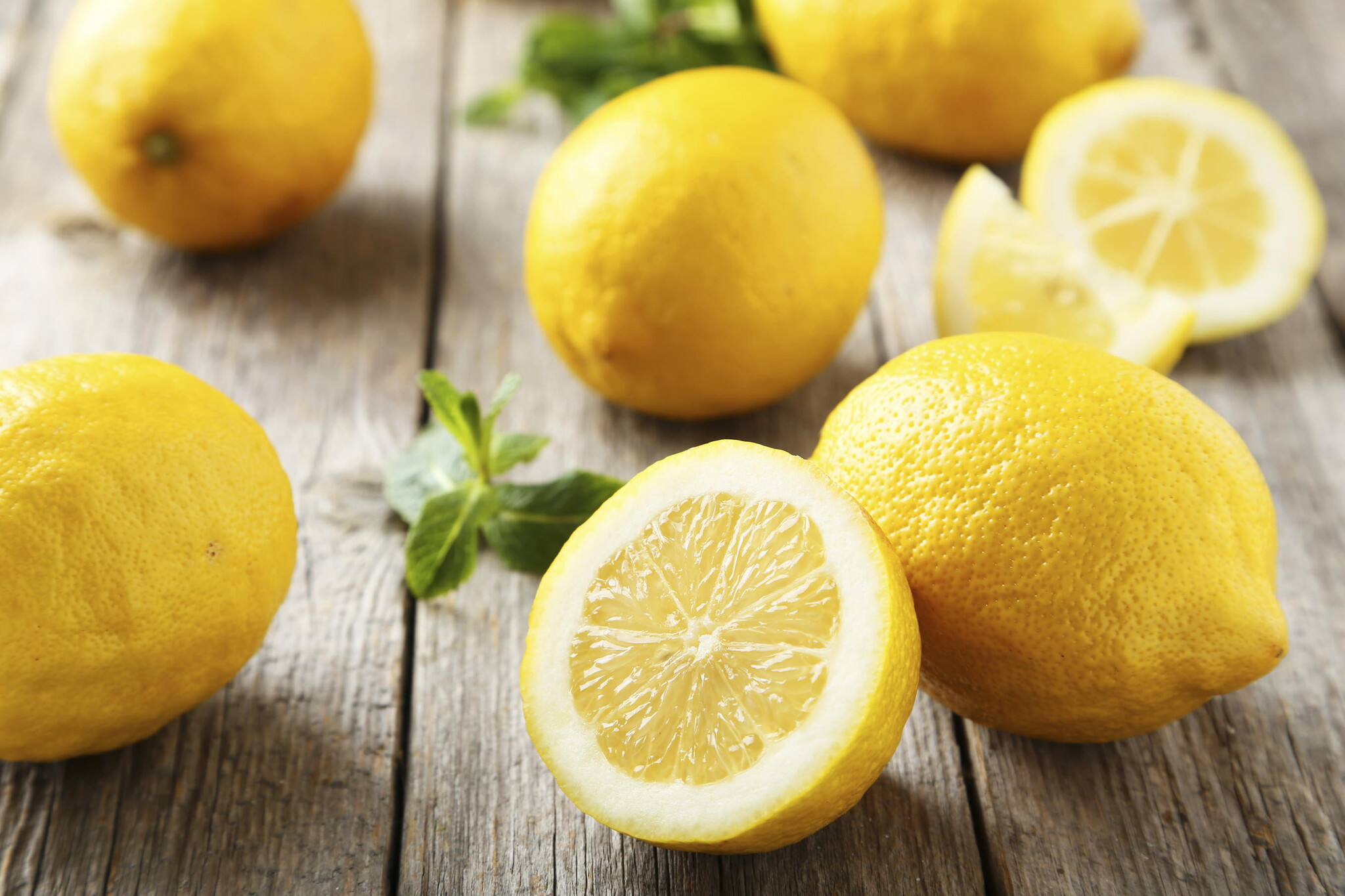 Citrus Limon - Citronnier - Pot 14cm - Hauteur 40-45cm - FloraStore