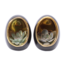 Echeveria in uovo decorativo - set da 2 - Altezza 12 cm - Nero, Oro