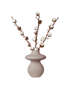 Flores secas - Rama de algodón - Algodón - Juego de 3 ramas - Altura 40-60 cm