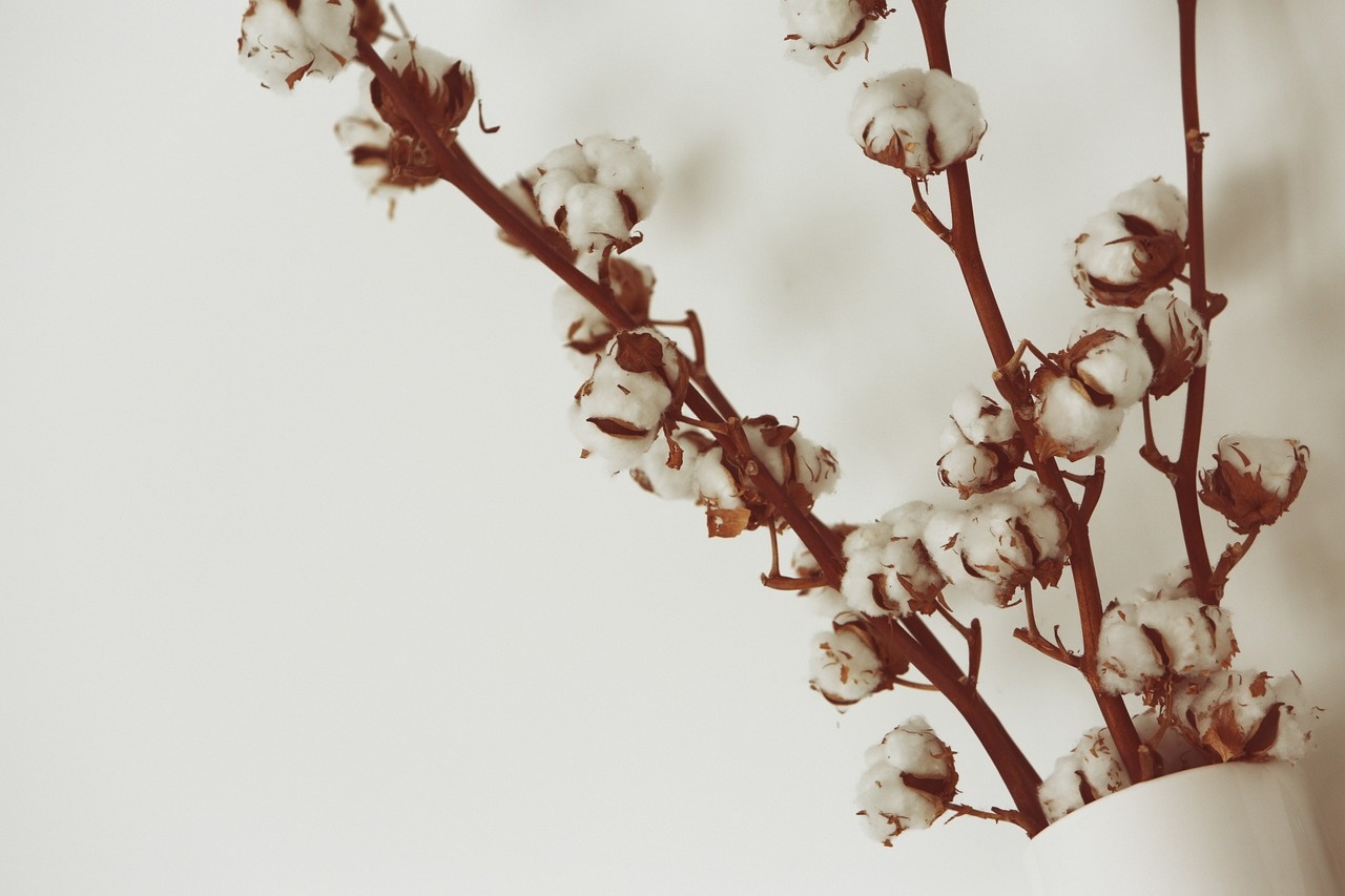 Floralsecret - 30 piezas de relleno de corona de flores secas decorativas  con tallo de algodón, 13.0 in, cápsulas de algodón natural (rosa) Zhivalor  LRWJ095-3