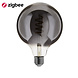 EcoDim EcoDim Zigbee led filament lamp dimbaar E27, globe G125, Smokey 1800K-5000K EcoDim EcoDim Zigbee led filament lamp dimbaar E27, globe G125, Smokey 1800K-5000K