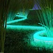 Innr Innr Smart Outdoor Lichtslang - 2M OFL 122 Innr Innr Smart Outdoor Lichtslang - 2M OFL 122