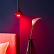 Shelly Shelly WiFi LED Lamp GU10 Duo - Kleur RGBW Shelly Shelly WiFi LED Lamp GU10 Duo - Kleur RGBW