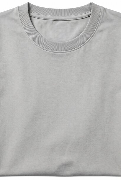 Heren T shirt - Oversized T shirt Heren - GB6530-13 - Licht Grijs