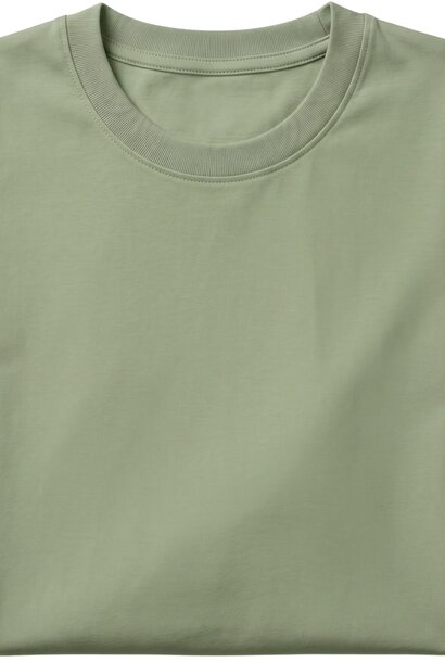 Heren T shirt - Oversized T shirt Heren - GB6530-15 -  Licht Groen