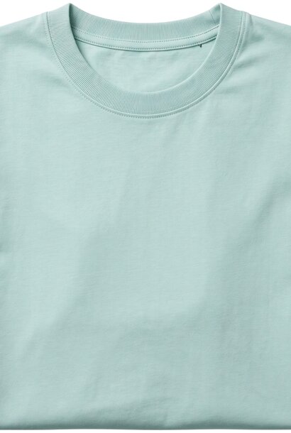Heren T shirt - Oversized T shirt Heren - GB6530-4 - Mint Groen
