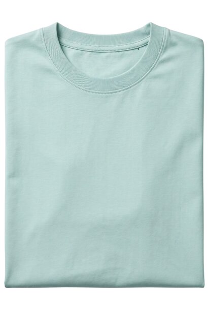 Heren T shirt - Oversized T shirt Heren - GB6530-4 -  Mint Groen