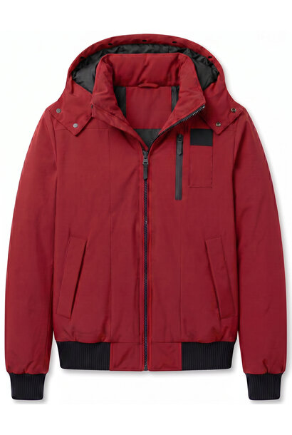 Jas Heren - Heren Jassen Winter - LF7006 - Rood