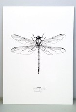 Maartje van den Noort "Libelle" artprint A4