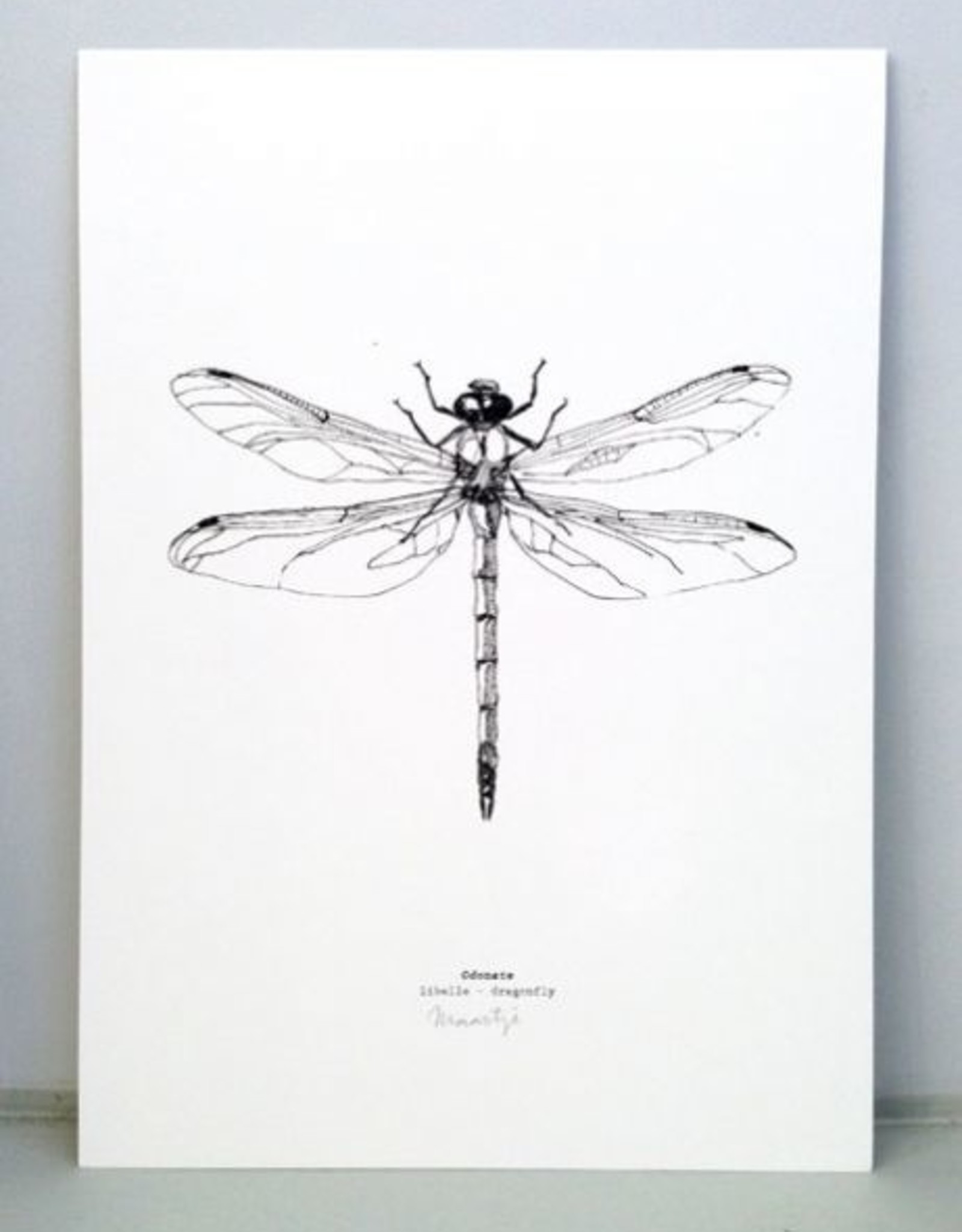 Maartje van den Noort "Libelle" artprint A4