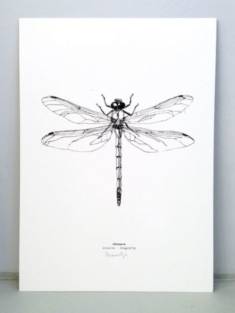 "Libelle" artprint A4