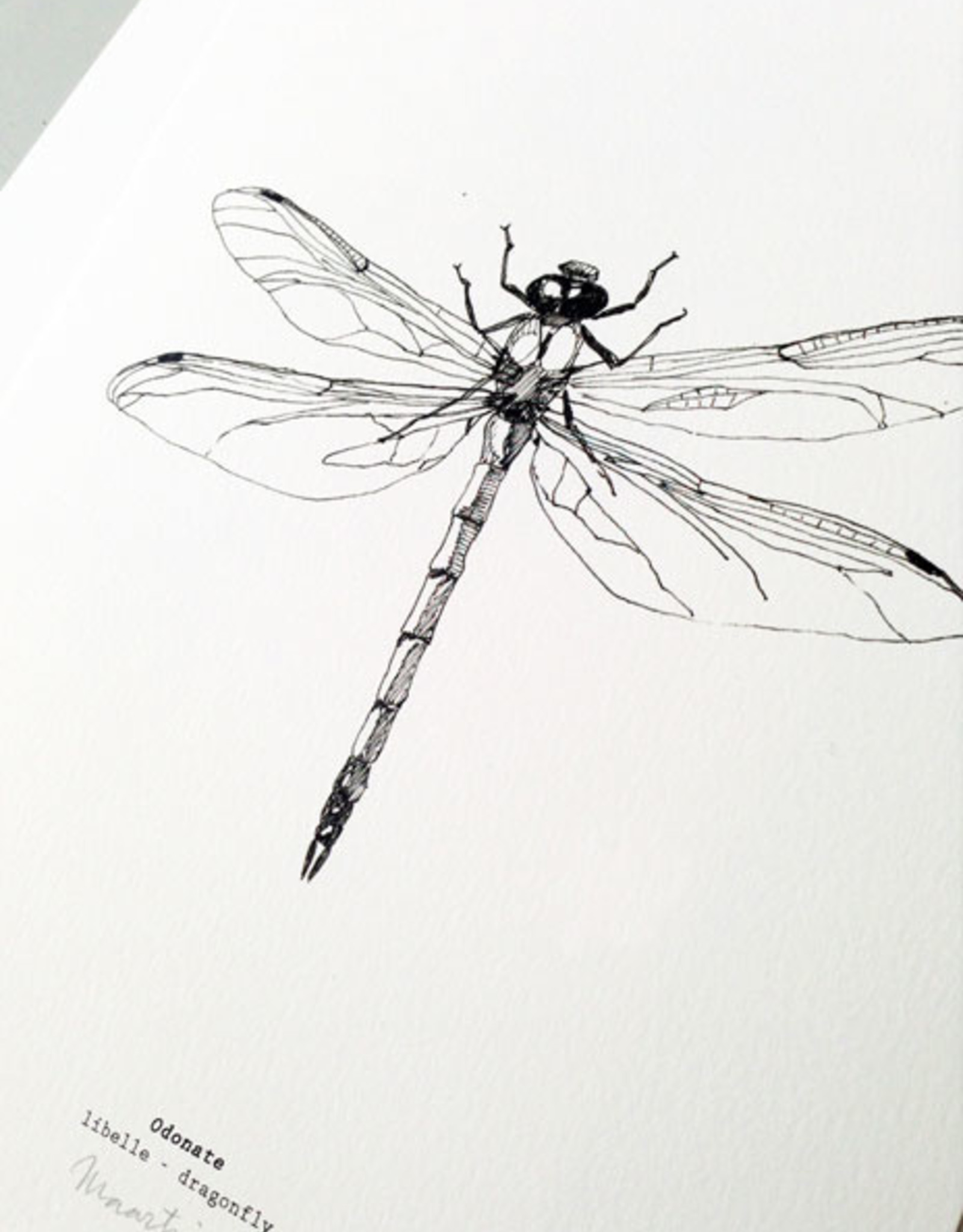 Maartje van den Noort "Dragonfly" artprint A4