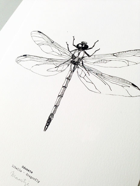 "Libelle" artprint A4