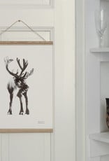 Teemu Jarvi Poster 'Reindeer' 30x40 cm