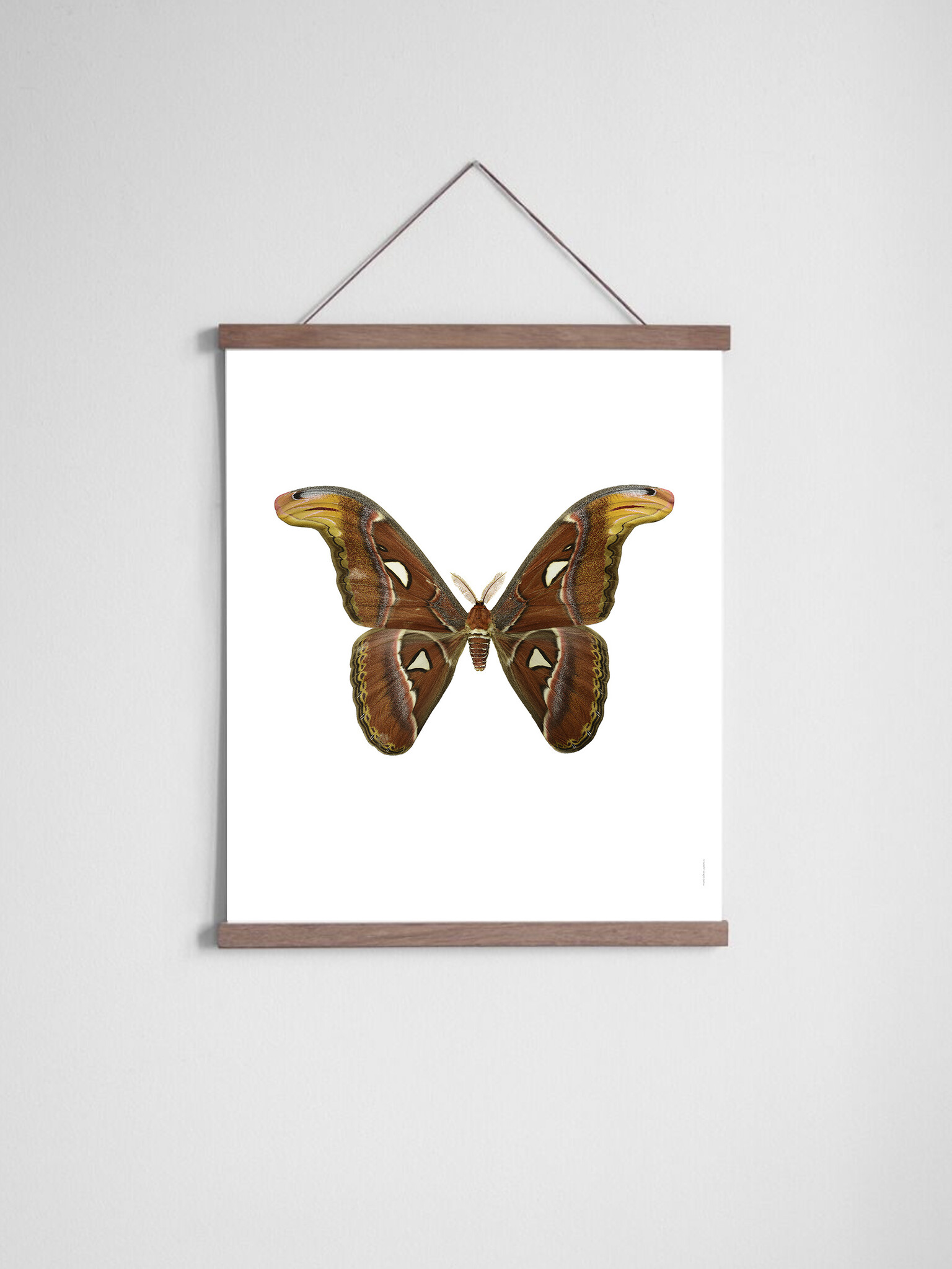 Liljebergs Poster hanger magneet eiken