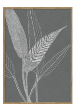 The Dybdahl & Co Poster 'Ferns ||||'