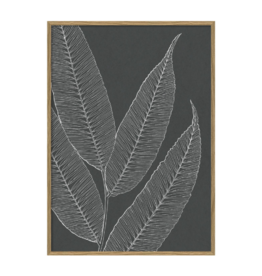 The Dybdahl & Co Poster 'Ferns ||'