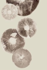 Pernille Folcarelli 'Mushroom" cream 30 x 40 cm