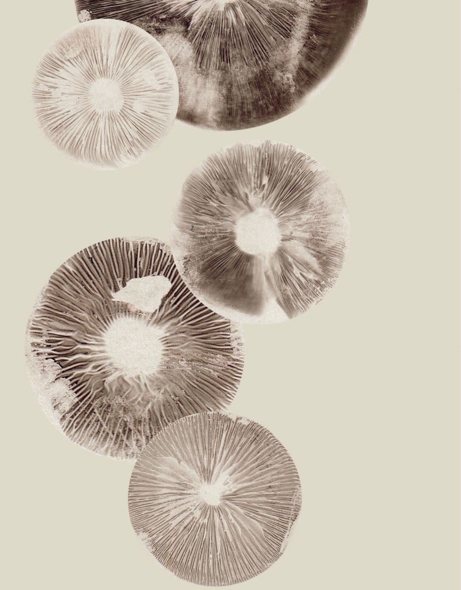 Pernille Folcarelli 'Mushroom" cream 30 x 40 cm