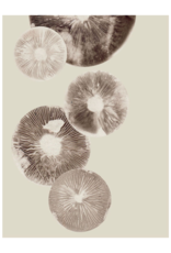 Pernille Folcarelli poster 'Mushroom" cream