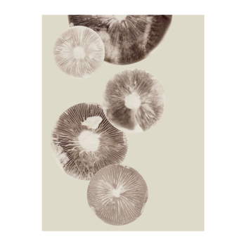 'Mushroom" cream 30 x 40 cm