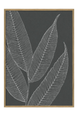 The Dybdahl & Co Poster 'Ferns ||'