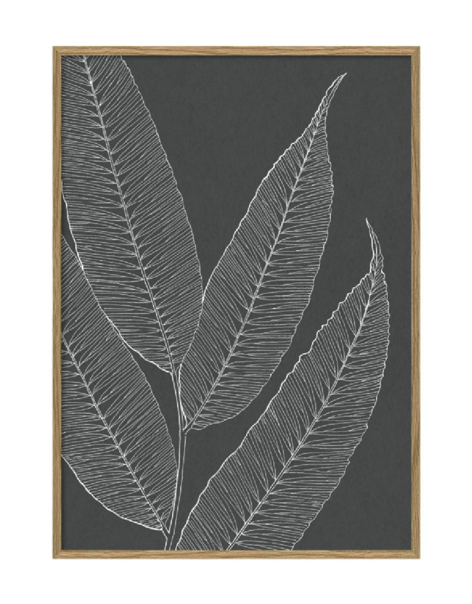 The Dybdahl & Co Poster 'Ferns ||'