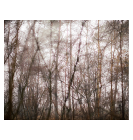 foto 'Forest' Nike Martens - 40 x50 cm