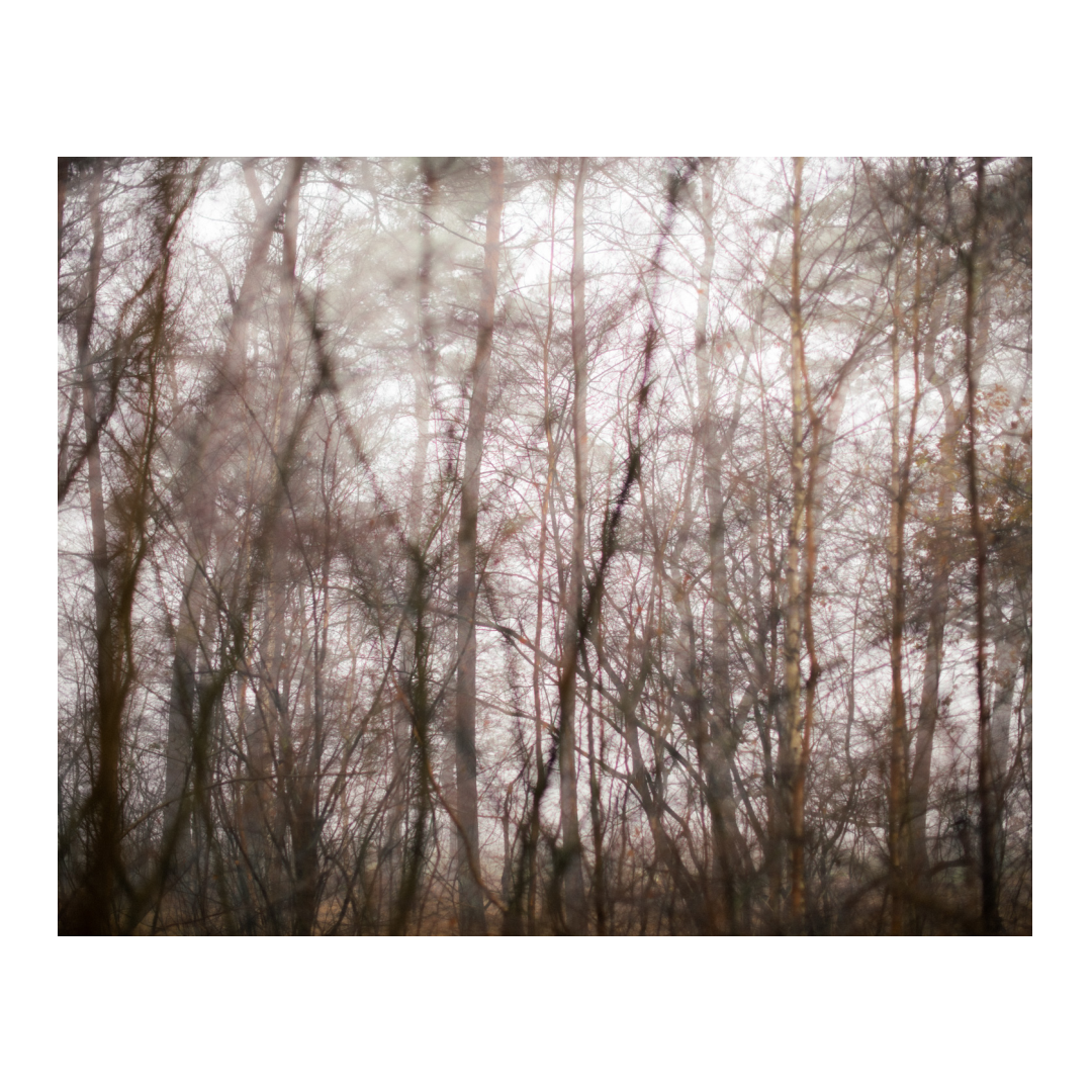 foto 'Forest' Nike Martens - 40 x50 cm