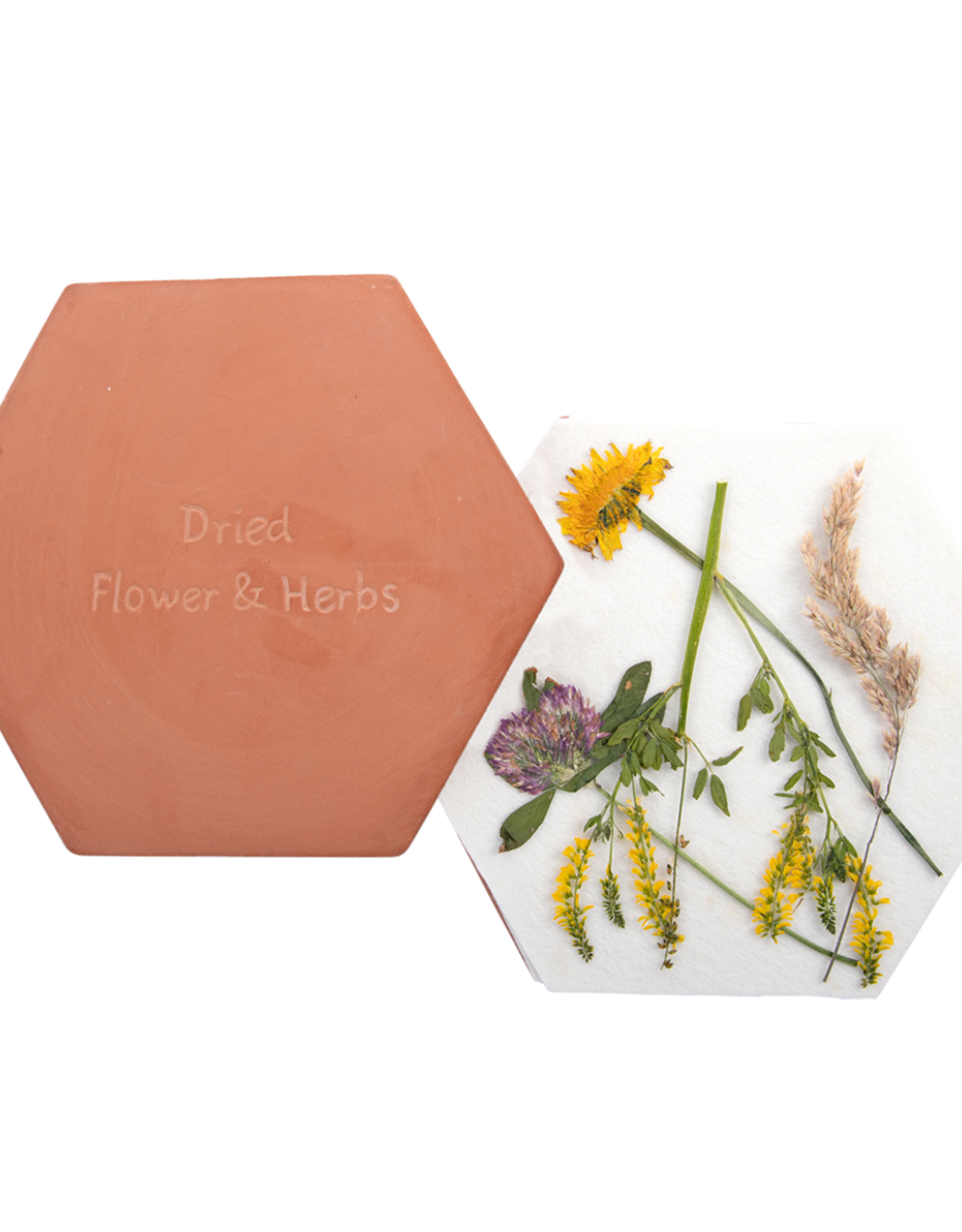 flower & herbs press - terracotta