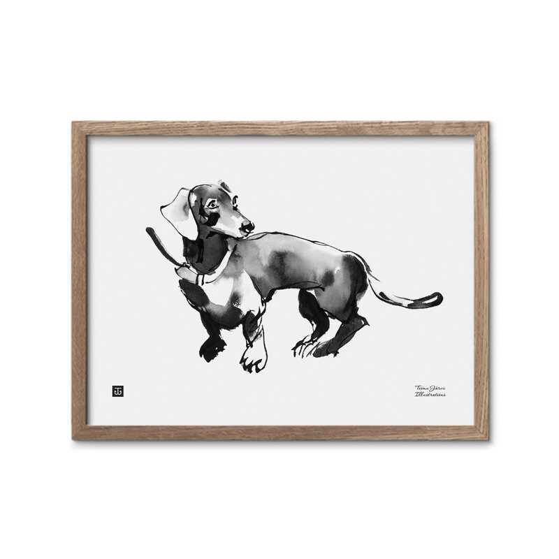 Teemu Järvi Poster 'Adventures ahead' 30x40 cm