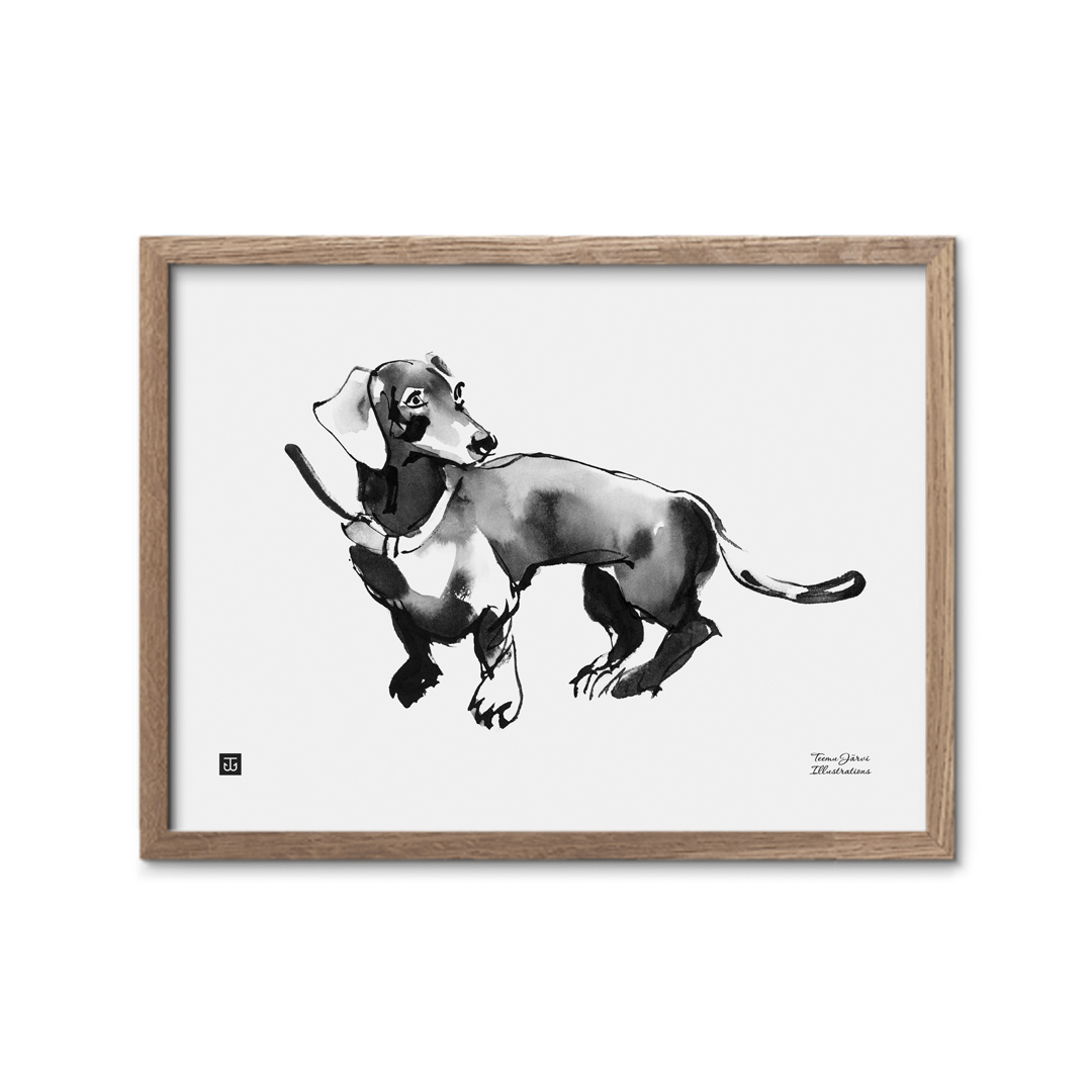 Teemu Järvi Copy of Poster 'Owl' 30x40 cm