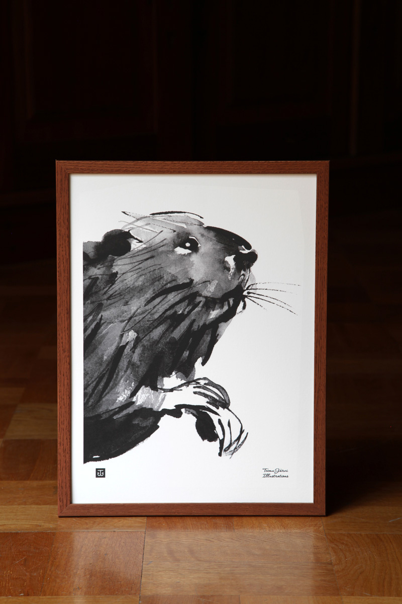 Teemu Järvi poster 'Curious Beaver' - 30 x 40cm