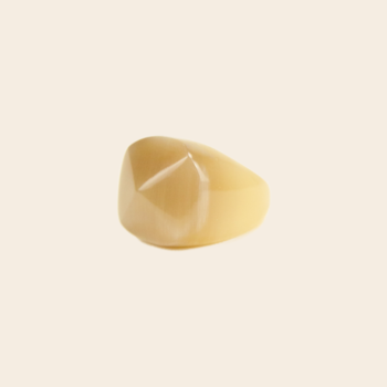 ring 'Radiant' - hoorn
