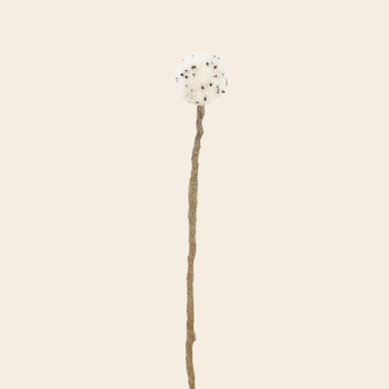'Dandelion' - wol