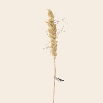 'Wheat' - wool