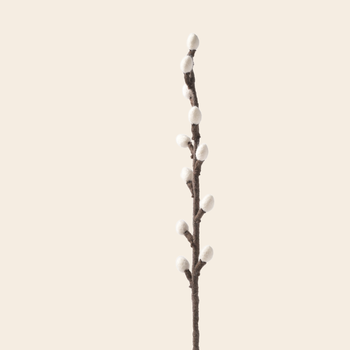 'Willow' - wool