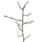 'Holly' - wol