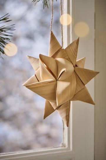 IBLaursen ster 'Chip' L