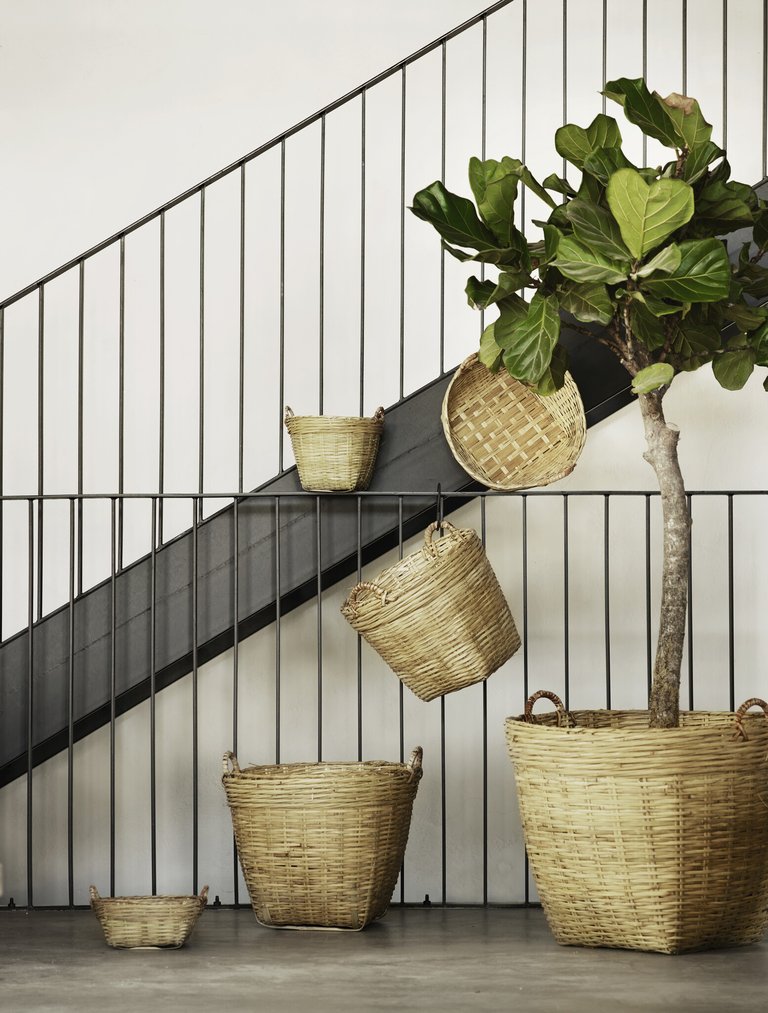 TineK Home market basket