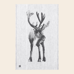Teemu Järvi Kitchentowel with moose "Poro"