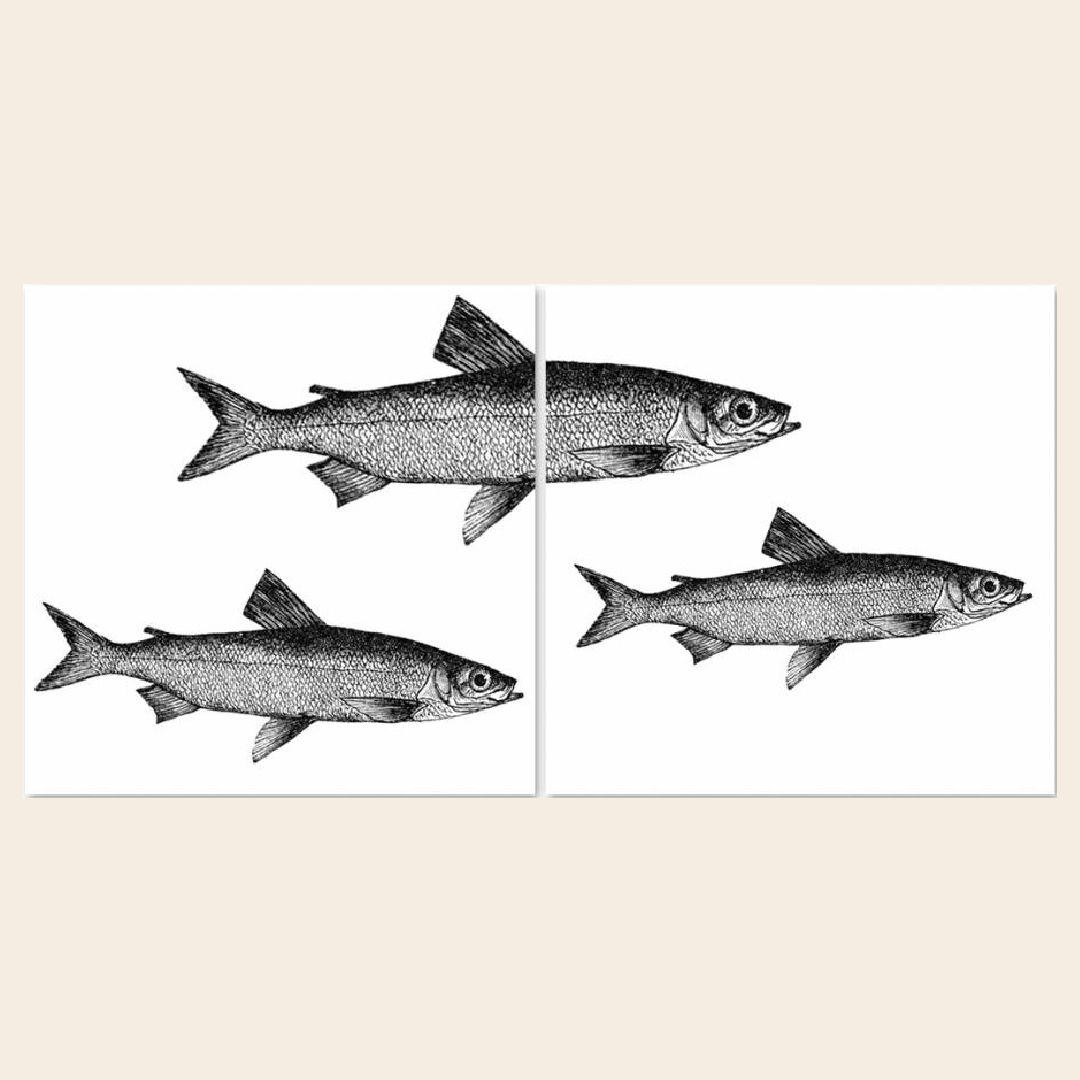 Boubouki muur / tegelsticker 'Sprotten'