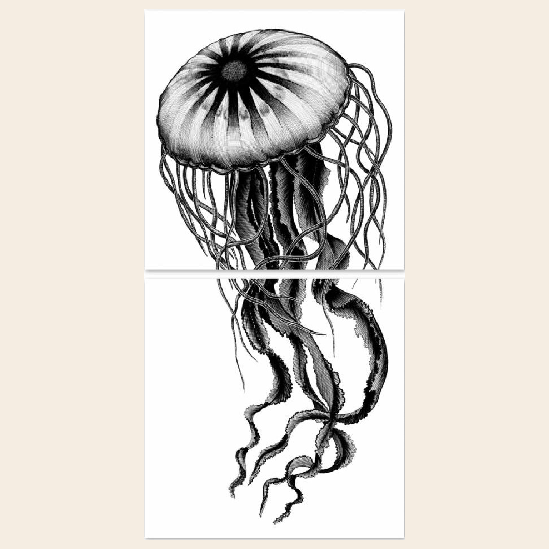 Boubouki muur / tegelsticker 'Jelly'