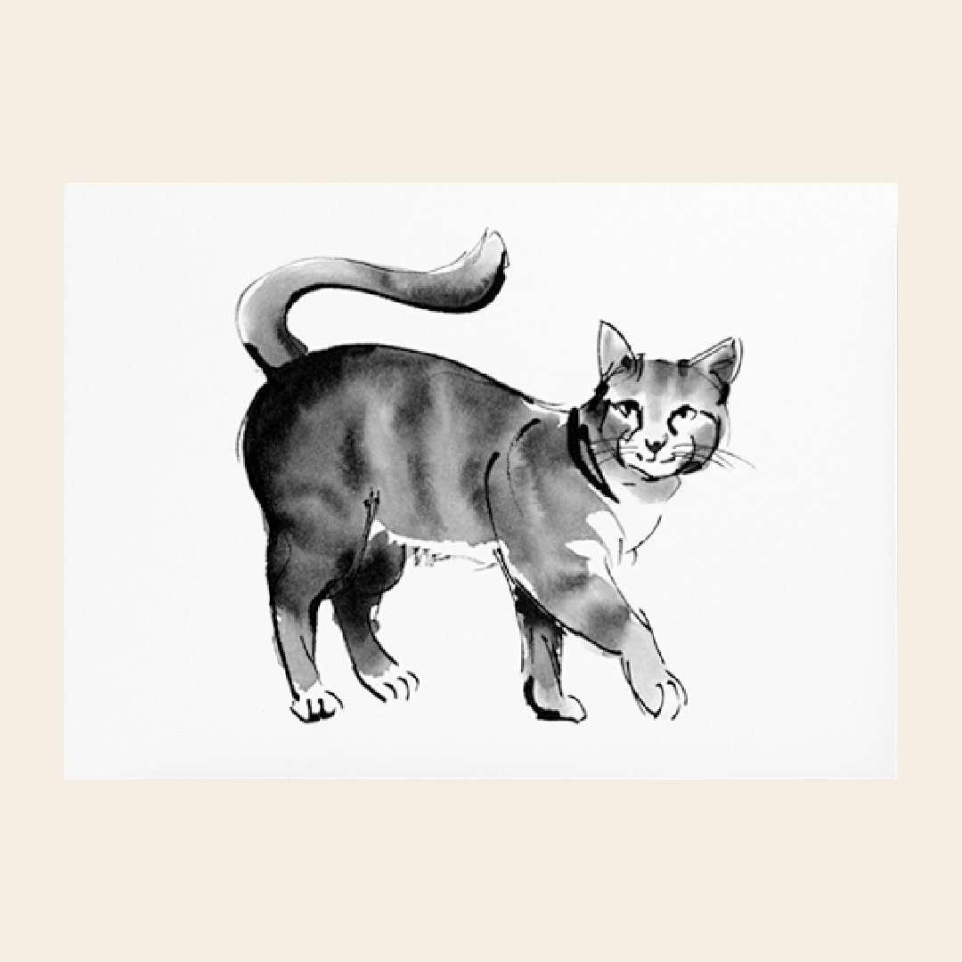 Teemu Järvi kaart A6