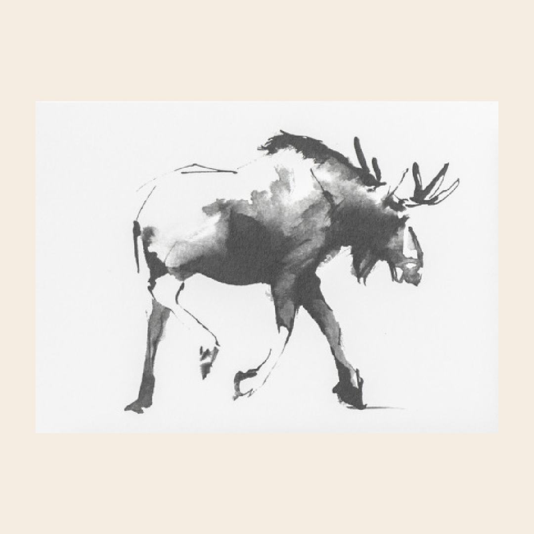 Teemu Järvi kaart A6