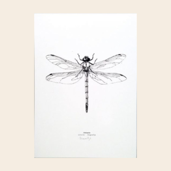 "Libelle" artprint A4