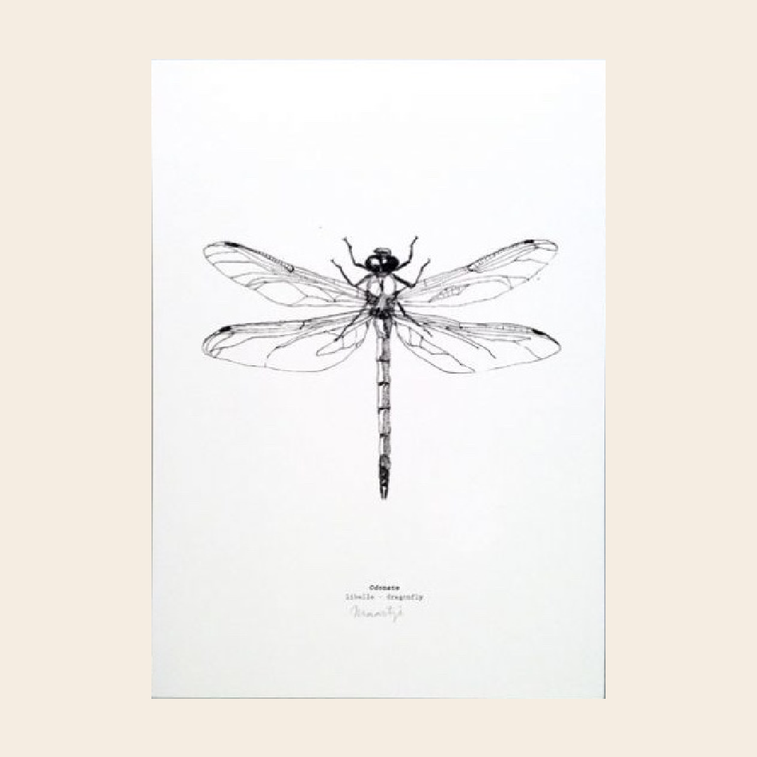 "Libelle" artprint A4