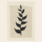 Paper Collective 'Plant Poem' - Cecilia Carlstedt