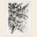 "Writing" by Pienaar & Lemon